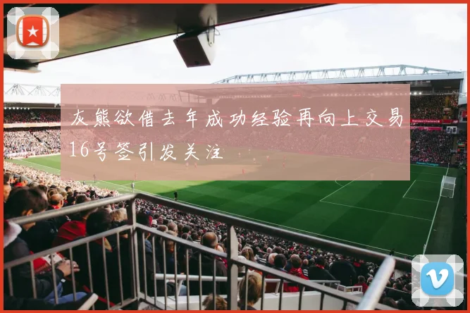 灰熊欲借去年成功经验再向上交易16号签引发关注